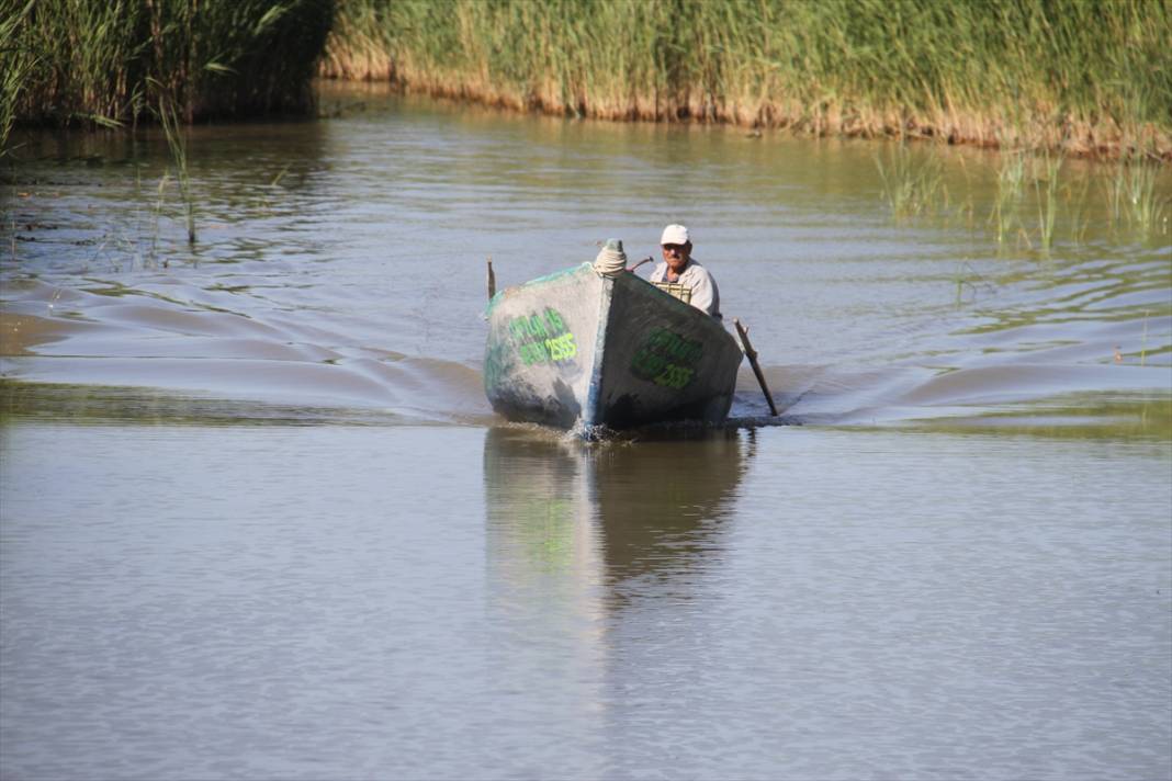Sezon açıldı, Konya’da avcıların yüzü gülüyor 11